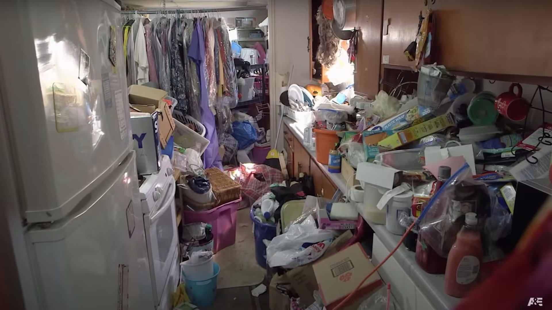 Hoarders Season 15 Watch Online Free